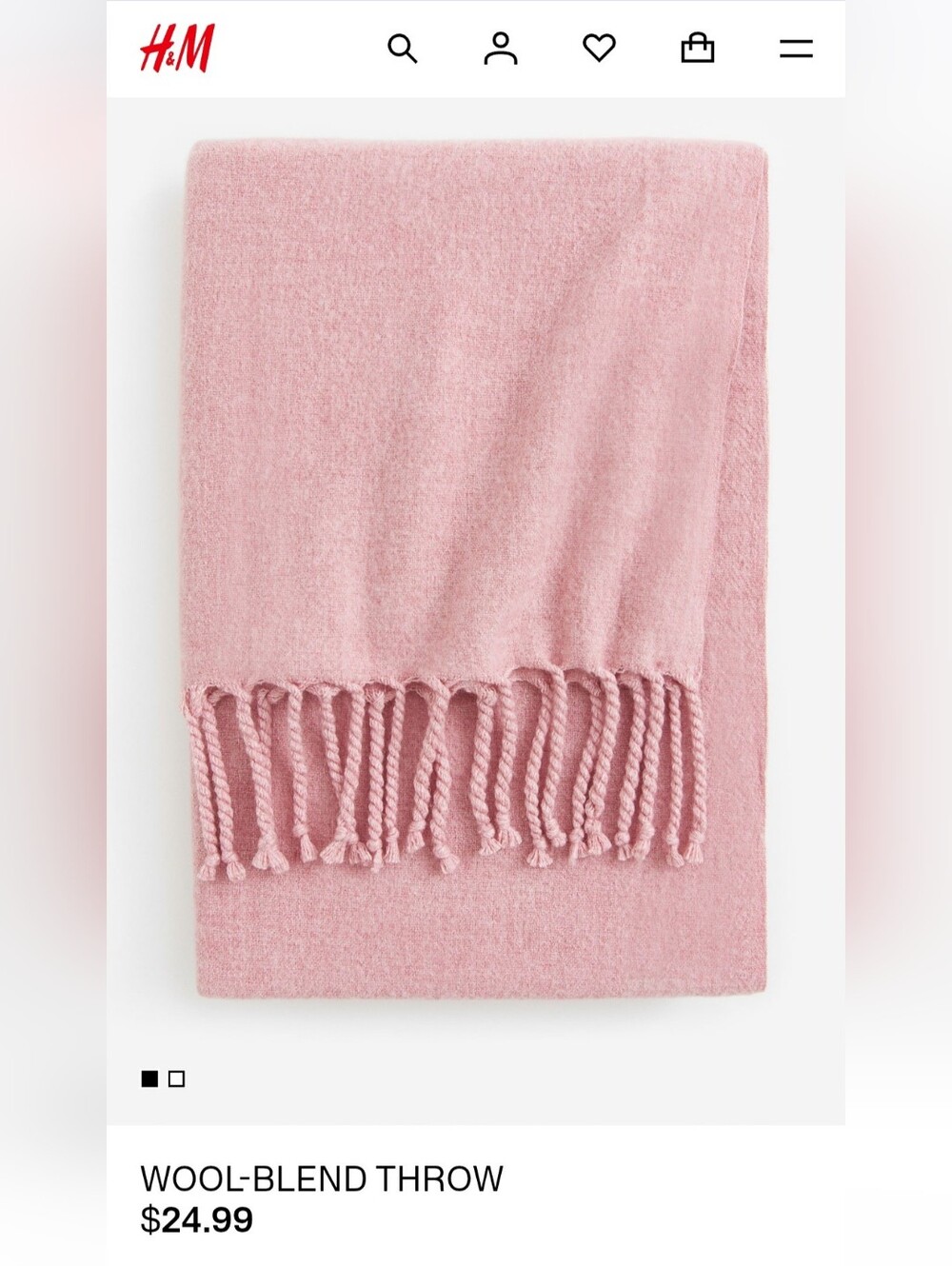 H&M Home Wool Blend Throw Blanket